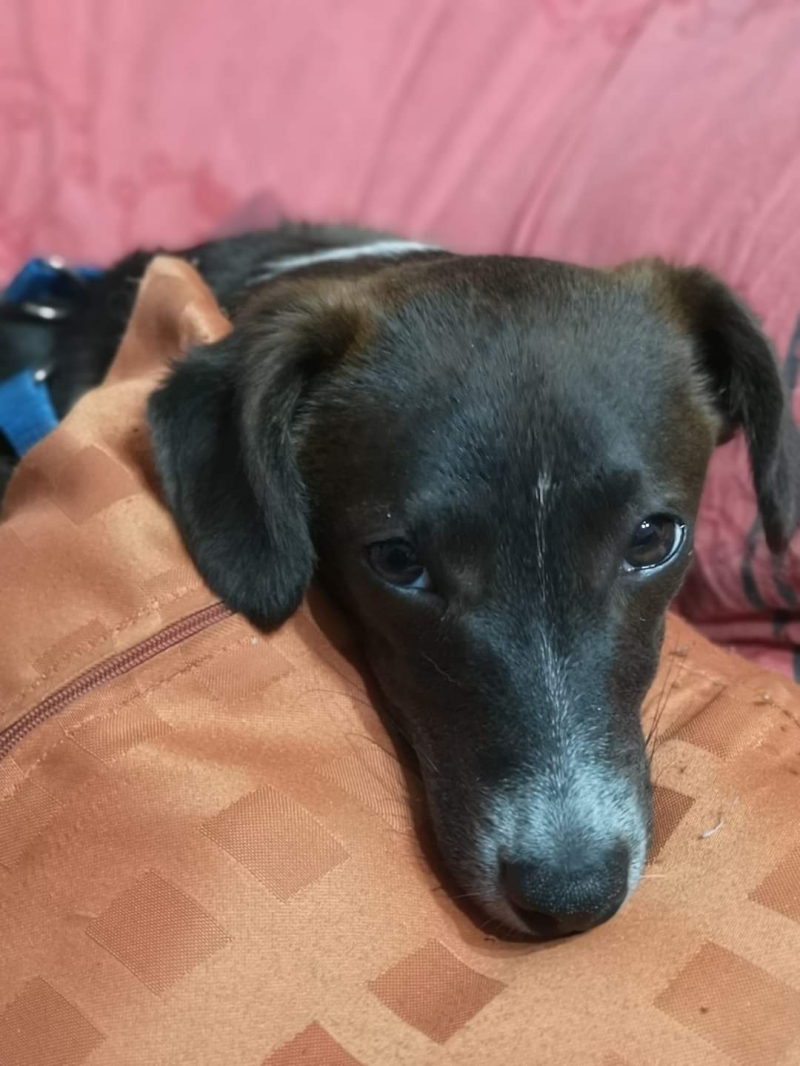 Foto: OK Radio, M.Spirić