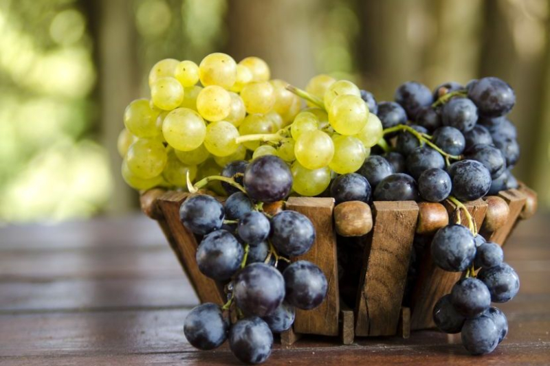 Foto: Shutterstock