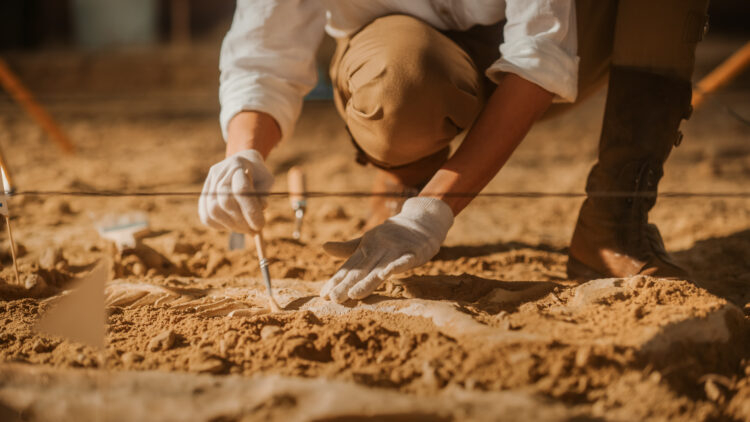 Foto: Shutterstock/Gorodenkoff/ilustracija