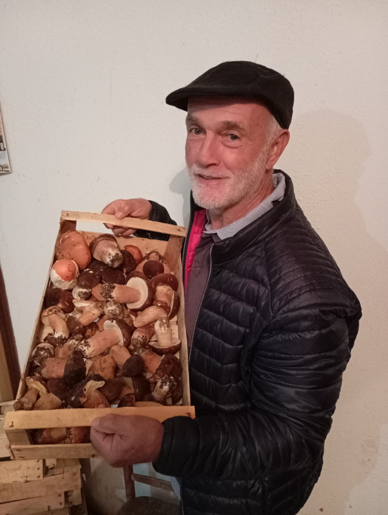 Foto: S.Tasić/OK Radio