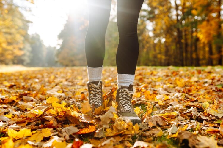 Foto: Shutterstock/maxbelchenko