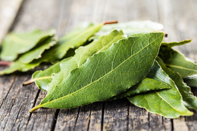 Foto: jirkaejc/Envato