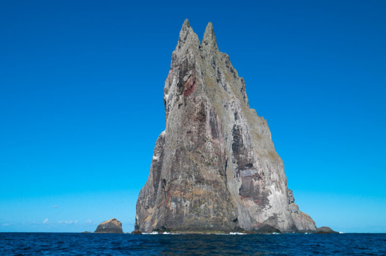 Foto: Ashley Whitworth/Shutterstock