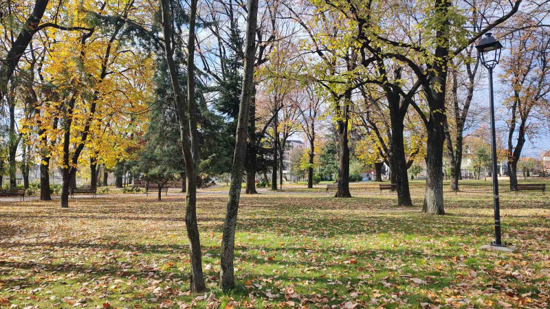 Foto: Ok Radio,M.Spirić