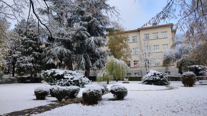 Foto: Ok Radio,M.Spirić