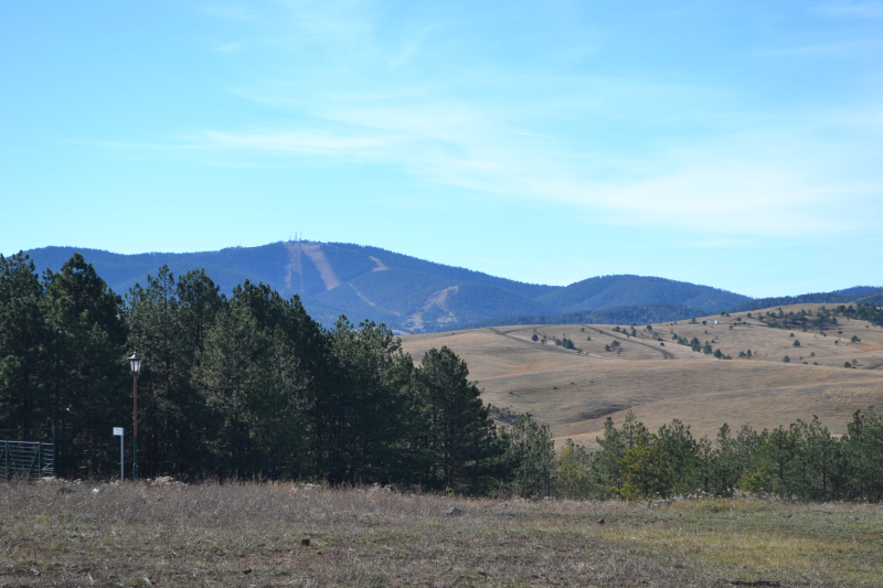 Foto: OK Radio,G.Mitić