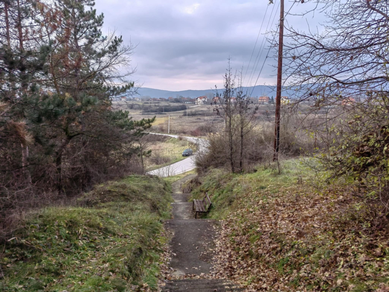 Foto: S.Tasić/OK Radio