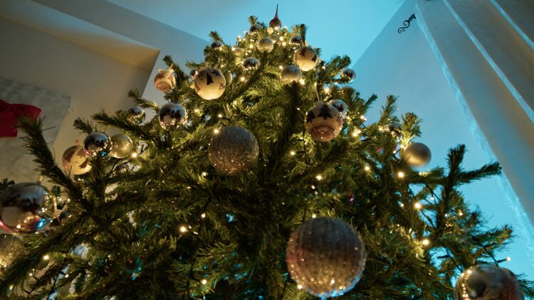 Foto: francescosgura/Shutterstock