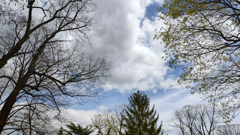 Foto: Ok Radio,M.Spirić