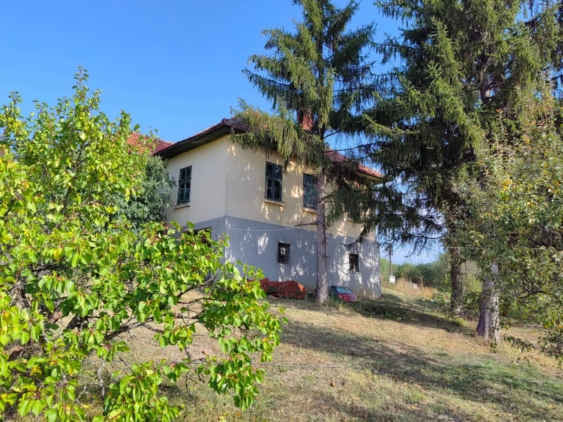 Foto: S.Tasić/OK Radio