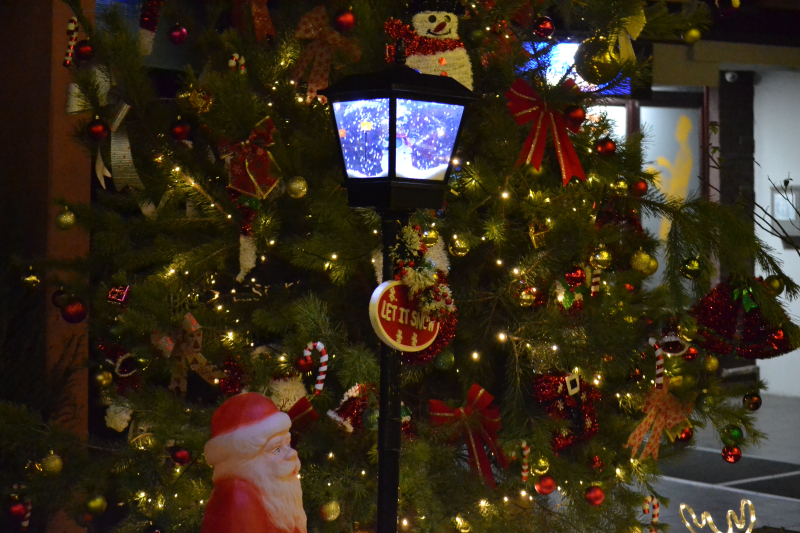 Foto: Ok Radio,Goran Mitić