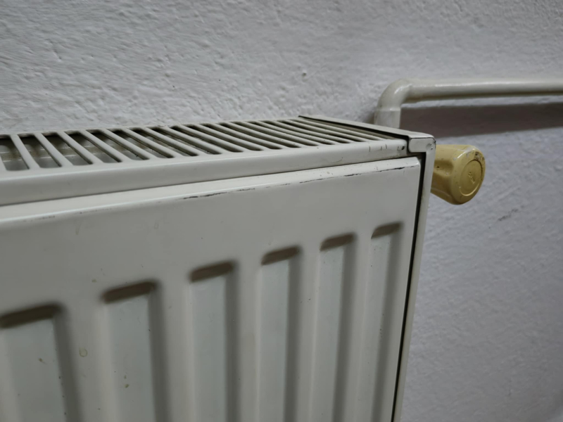 Foto: S.Tasić/OK Radio