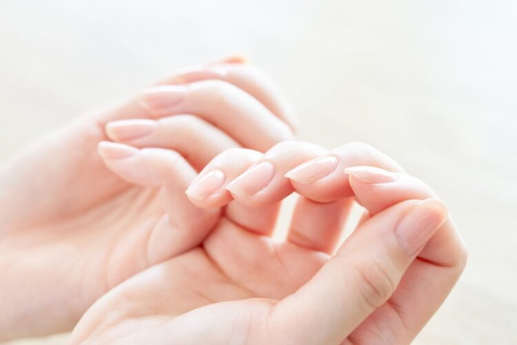 Foto: Shutterstock/maruco