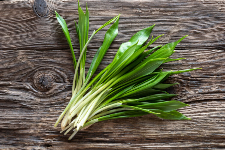 Foto: Shutterstock