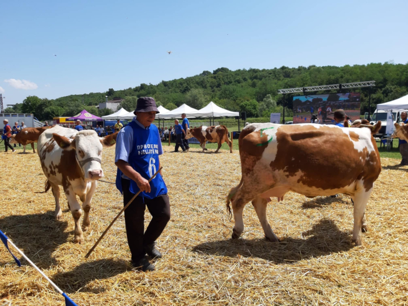 Foto: Ok radio,S.Tasić