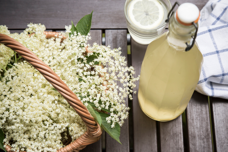 Foto: Shutterstock/Bizon 101