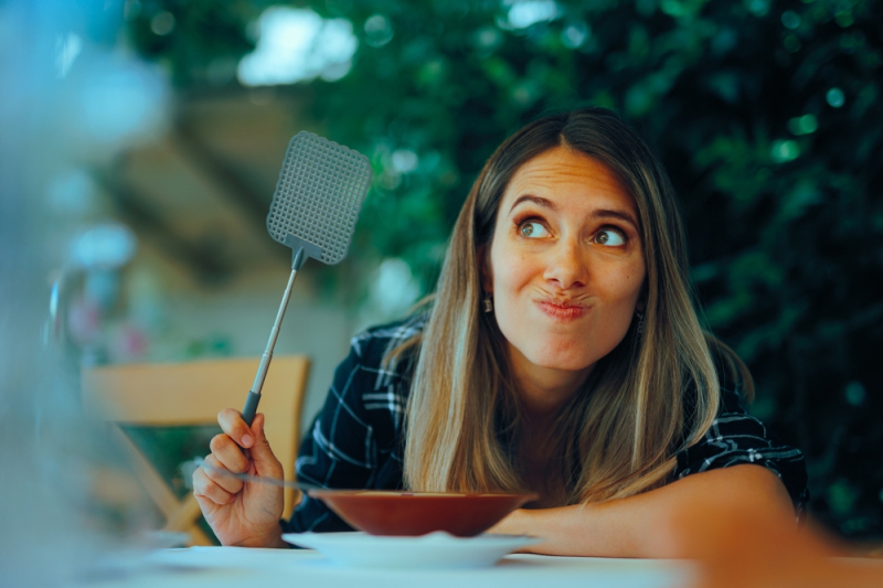 Foto: Shutterstock/Nicoleta Ionescu