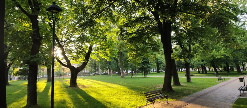 Foto: OK Radio,M.Spirić