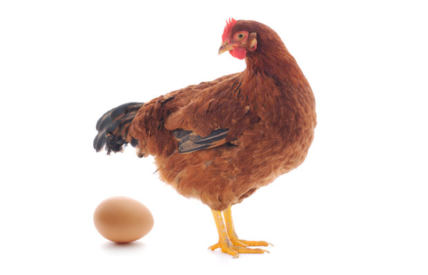 Foto: S.Tasić/ Thinkstock