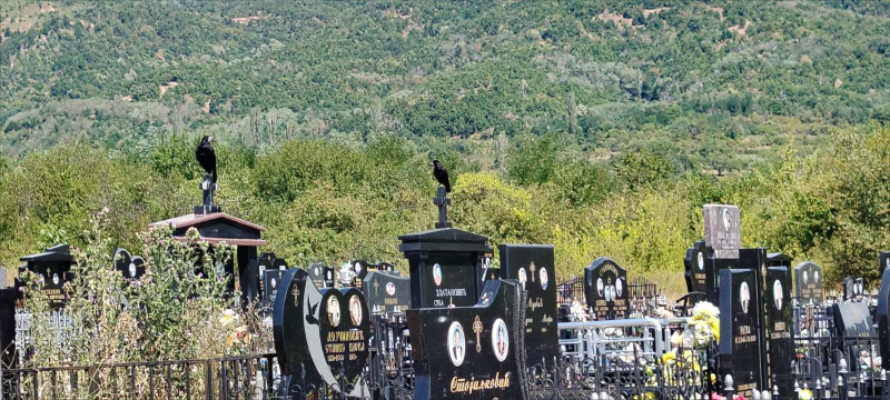 Foto: OK Radio,M.Spirić