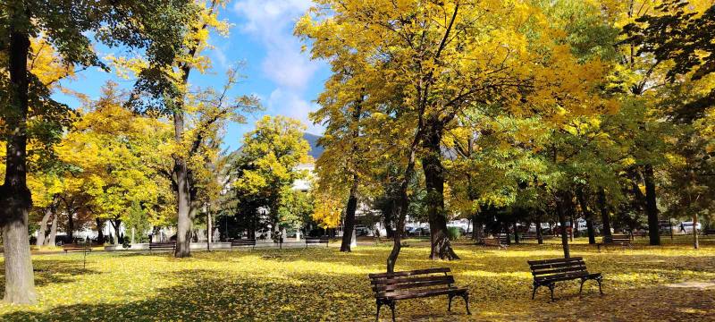 Foto: OK Radio,M.Spirić