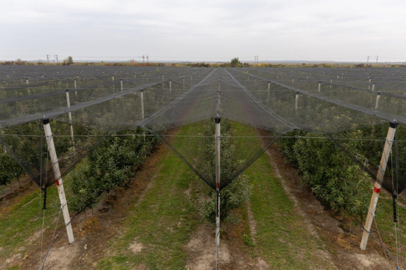 Foto: www.vranje.org