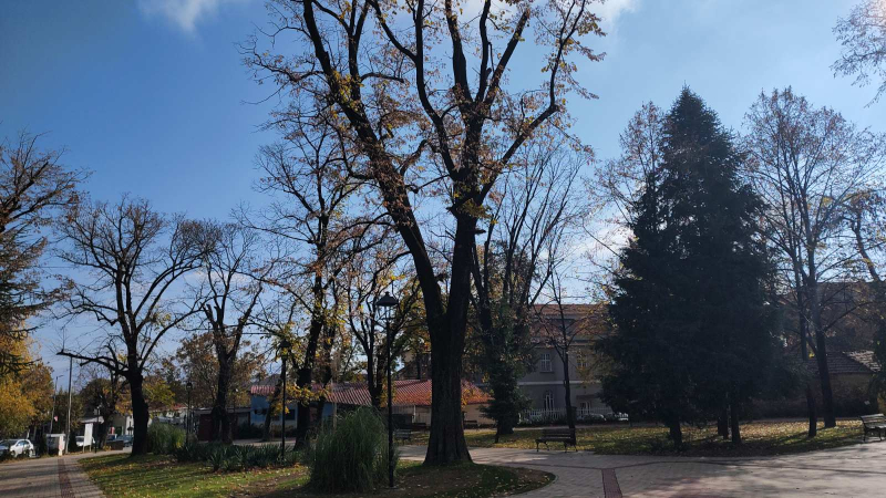 Foto: OK Radio,M.Spirić