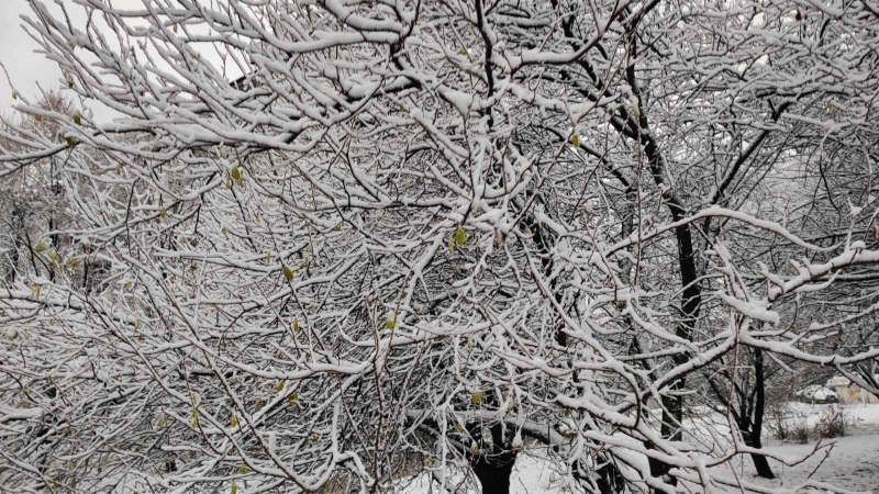 Foto: OK Radio,M.Spirić