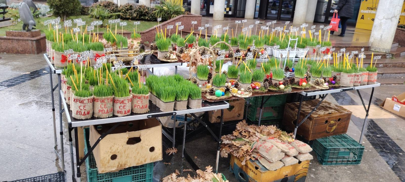 Foto: OK Radio, M.Spirić