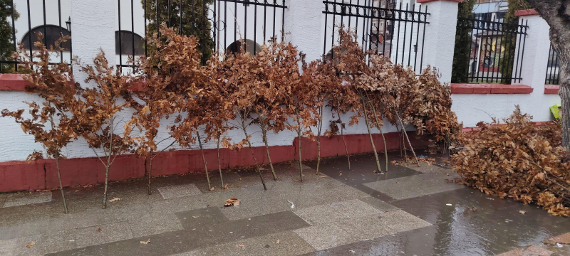 Foto: OK Radio, M.Spirić