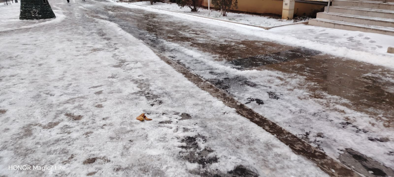 Foto: OK Radio, M.Spirić