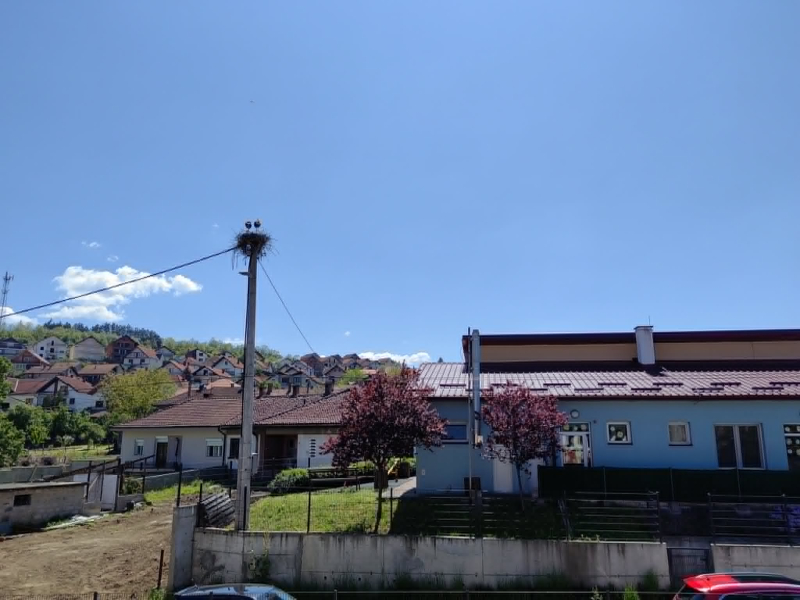 Foto: S.Tasić/ OK Radio