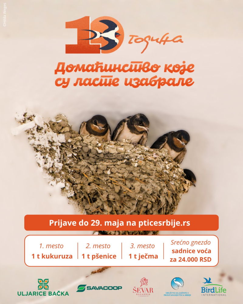 Foto: Promo