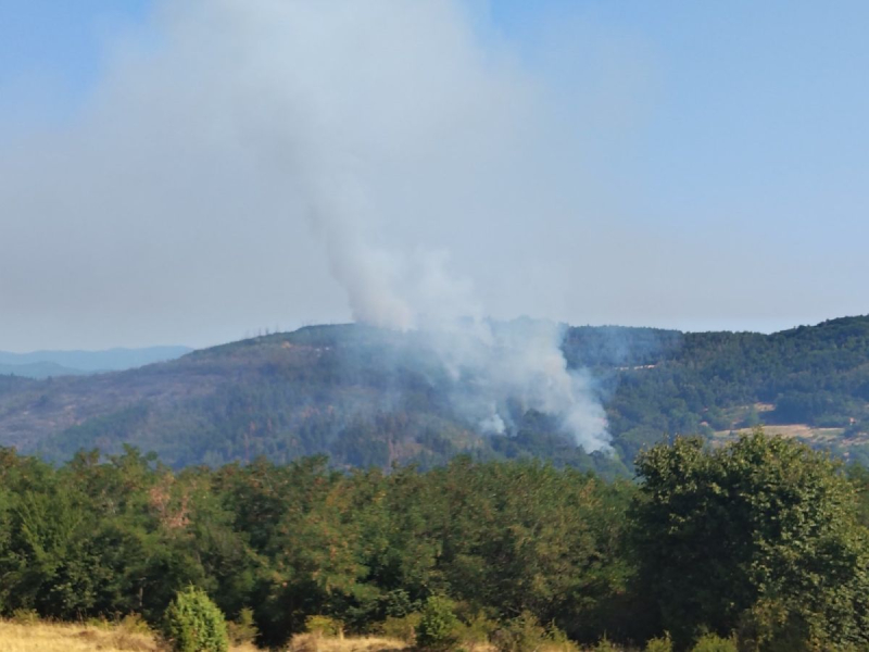 Foto: vranje.org.rs