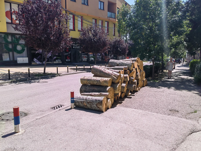 Foto: S.Tasić/OK Radio