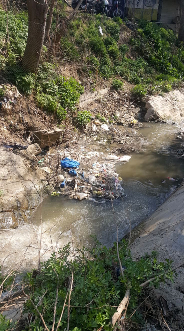 Aktičistkinje, treća akcija