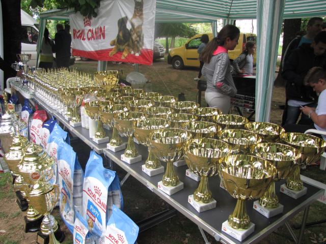 10. Međunarodna izložba pasa svih rasa, Vranje 2019.