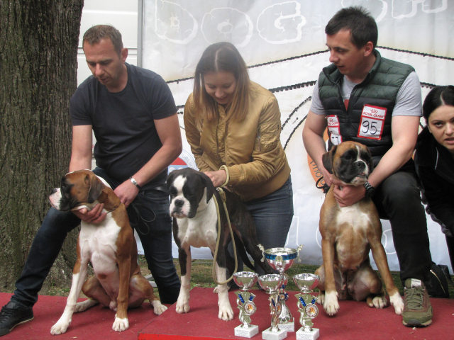 10. Međunarodna izložba pasa svih rasa, Vranje 2019.