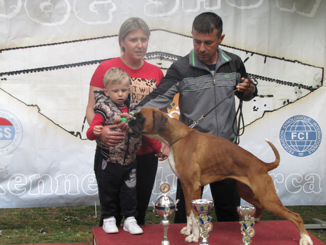 10. Međunarodna izložba pasa svih rasa, Vranje 2019.