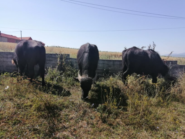 Spomen soba 4. brigade KOV