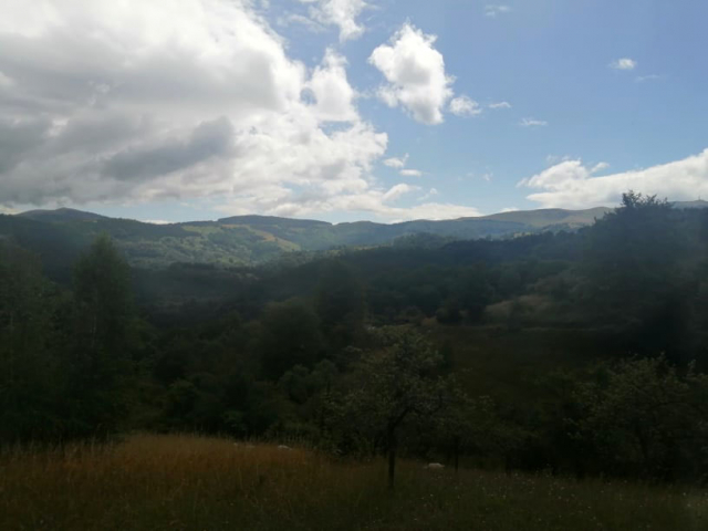 Zmaj Jovina ulica-rekonstrukcija