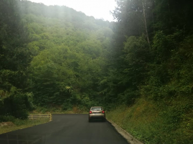 Zmaj Jovina ulica-rekonstrukcija