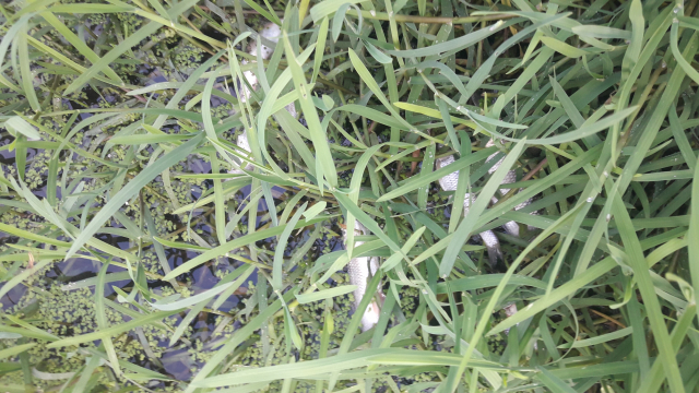 Izložba 75 GODINA SLOBODE