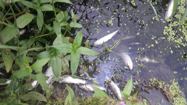 Izložba 75 GODINA SLOBODE