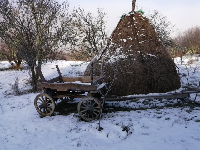 142 godine od oslobođenja Vranja od Turaka