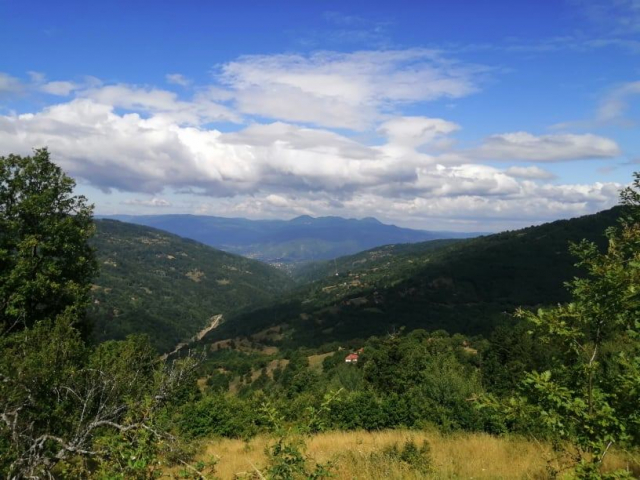 Koncert: Dr Nele Karajlić i 