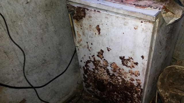 Andjela Mladenovic Golemo selo