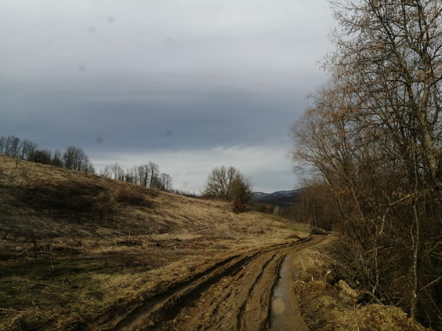 NSZ predstavila mere zapošljavanja za teže zapošljive kategorije