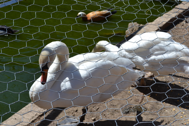 Stalci za infuziju za ZC Vranje