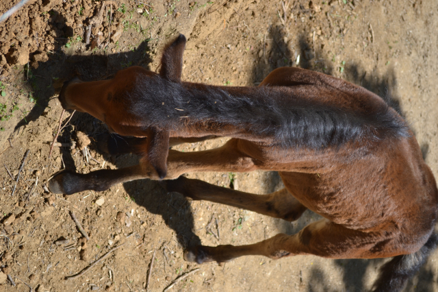 Etno selo Preobraženje